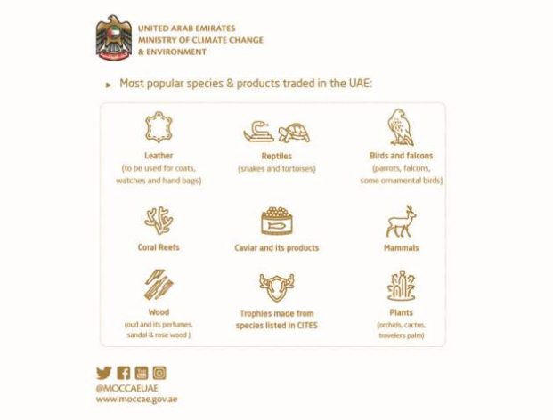 MOCCAE launches e-Service regulating trade of endangered fauna and flora