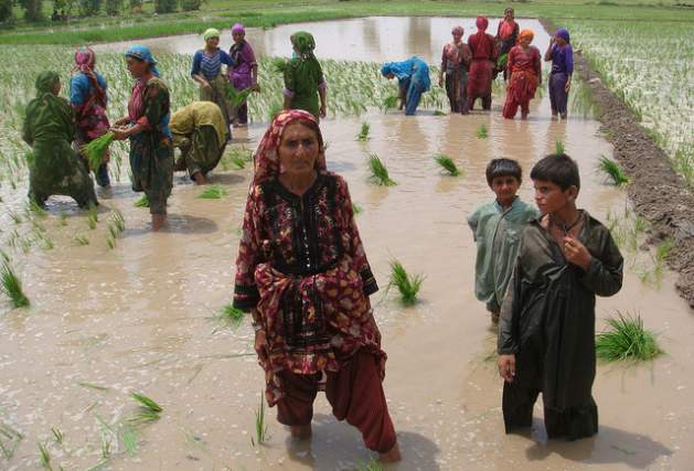 Having land has made all the difference to Zar Bibi, a 60-year-old widow in Pakistan (centre). Credit: Zofeen Ebrahim/IPS
