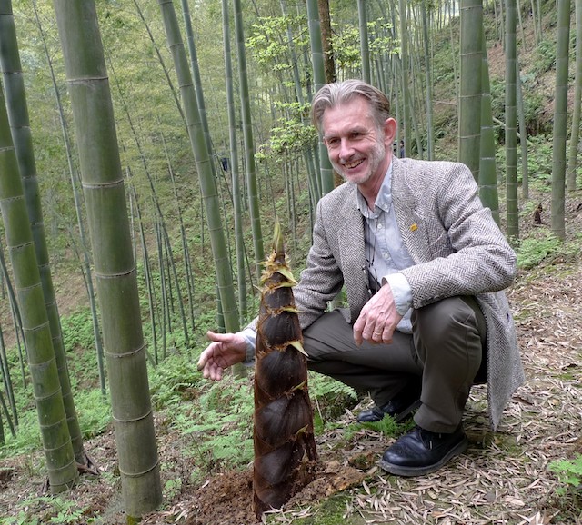 Hans Friederich at a Chinese bamboo plantation. Photo Courtesy of INBAR