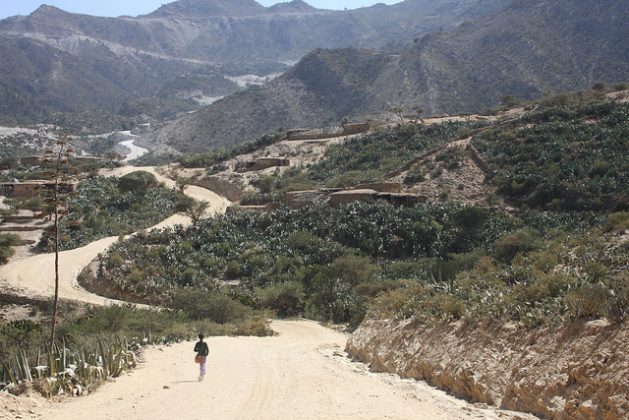 The rugged landscape of Tigray, Ethiopia’s most northern region, stretches away to the north and into Eritrea. Once Eritrea was Ethiopia’s most northern region until gaining independence in 1991. Credit: James Jeffrey/IPS