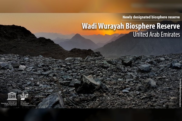 Wadi Wurayah in Fujairah has been designated a 'Biosphere Reserve' by the United Nations Educational, Scientific and Cultural Organisation (UNESCO).