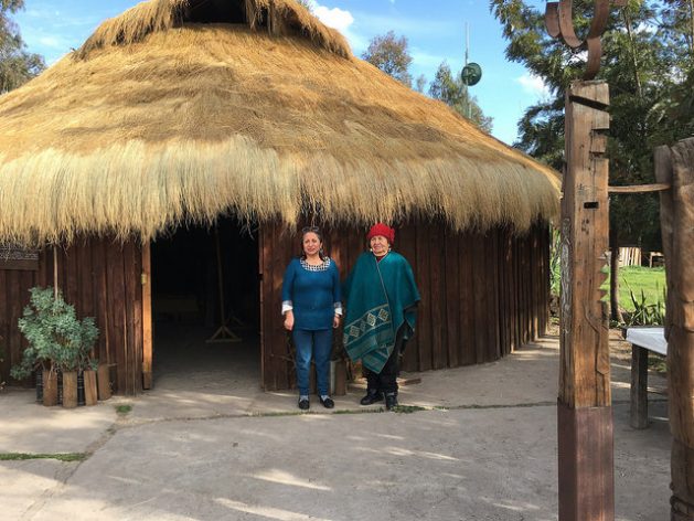 Juana Cheuquepan (L) and her mother, machi (shaman) María Colipe, at the door of the Kiñe Pu Liwen Association's ruca in the municipality of La Pintana, on the southern outskirts of Santiago, where Mapuches living in the metropolitan area of the Chilean capital hold ceremonies and meetings. Credit: Orlando Milesi/IPS