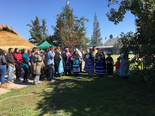 Mapuche representatives hold a guillatún prayer ceremony before meeting on Aug. 25, on the outskirts of the Chilean capital, to discuss the details of the government's proposal to include a subject on indigenous language and culture. Credit: Orlando Milesi/IPS