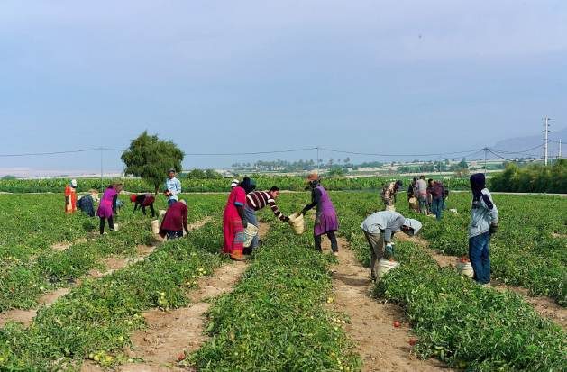 In a bid to elevate the standard of living in developing countries and eradicate global poverty, the Abu Dhabi Fund for Development, ADFD, revealed that it has allocated nearly AED11 billion for development projects in the education and healthcare sectors.