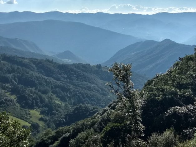 The Sierra Juárez forest in the southern Mexican state of Oaxaca is vulnerable to the effects of climate change, but at the same time it can help fight the phenomenon. Credit: Emilio Godoy/IPS