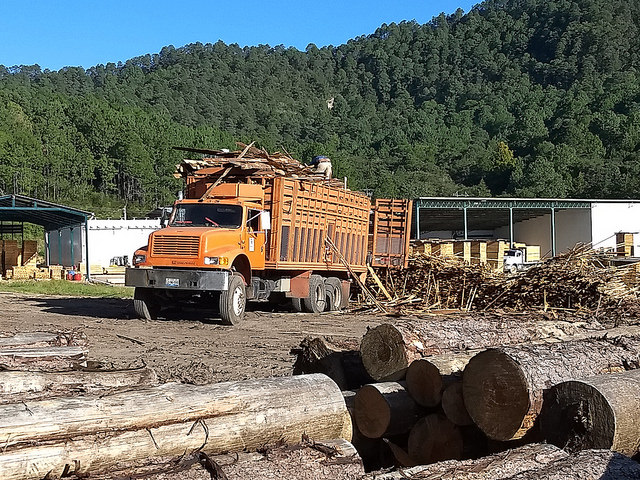 A truck unloads pine logs at the sawmill of the forest community of Ixtlán de Juárez, in the southern Mexican state of Oaxaca, which, like other local groups in the Sierra Juárez mountains, sustainably manages its community assets, including timber. Credit: Emilio Godoy/IPS