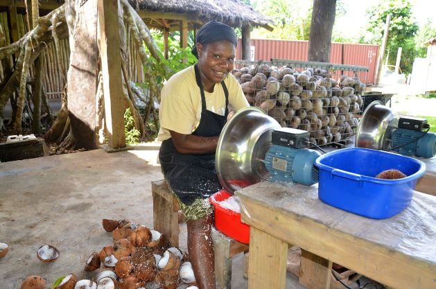 Adding value to coconut at Aelan Ltd. in Vanuatu. Credit: Commonwealth Secretariat.