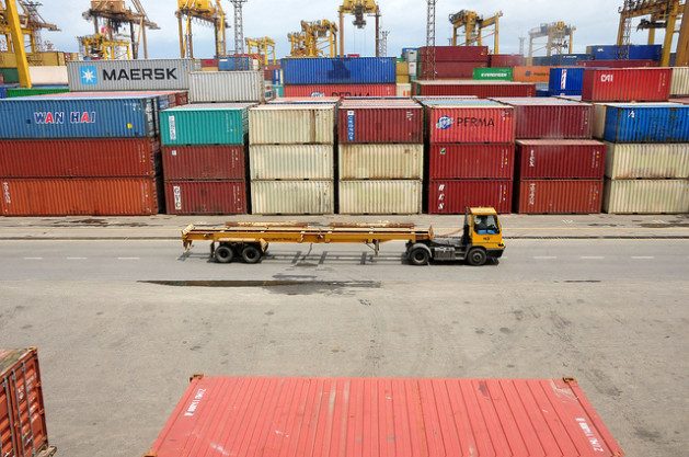 Invasive alien species cross the world chiefly on board of ships, harming human health, biodiversity and the whole ecosystem