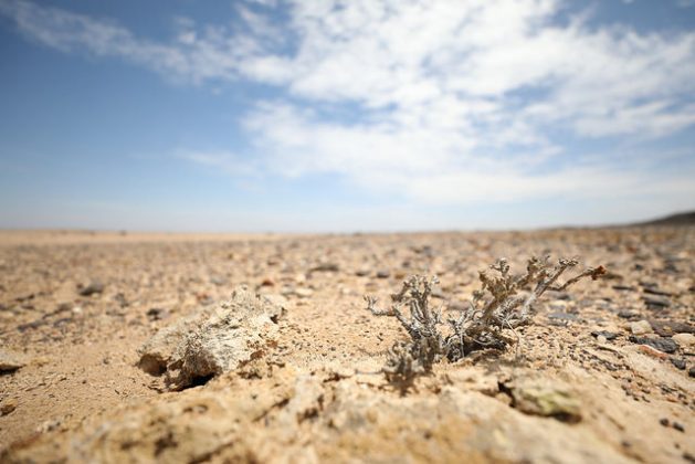 Desertification does not refer to the expansion of deserts, but rather the degradation of land in arid, semi-arid and dry sub-humid areas, primarily as a result of human activities and climatic variations. Credit: Campbell Easton/IPS