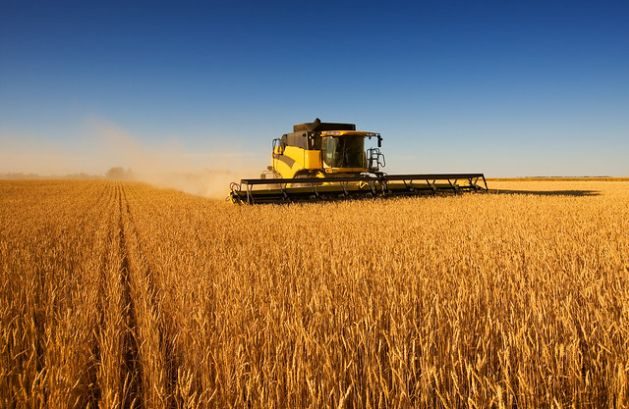 Food production isn’t just being affected by climate change – it’s actively contributing to climate change, too. According to IPCC’s land use report, agriculture and other land uses comprise more than one-fifth of global CO2 emissions, creating a vicious cycle.