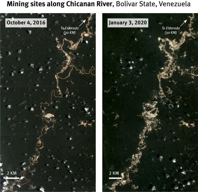 Satellite imagery show a significant increase in the number and expansion of mining sites along Chicanan River in Bolivar State, Venezuela, since 2016. © 2020 Planet Labs
