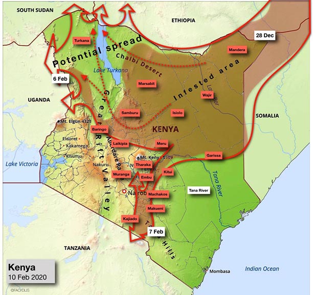 A map dated February 10, 2020 showing Desert Locust spread from Kenya to Uganda and Tanzania. Source: FAO Locust Watch