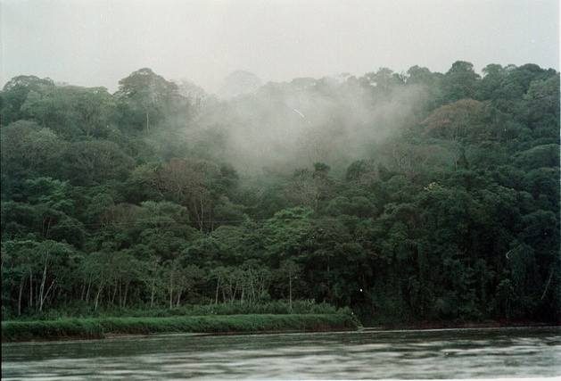 Two countries that have long coordinated their response to global goals like promotion on democracy, human rights and environmental issues, Sweden and Costa Rica highlight how public policy matters