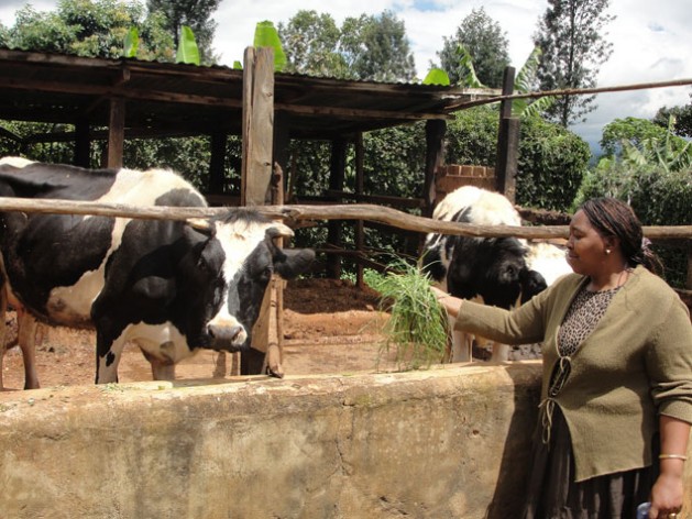 Scaling up innovation at critical points will unlock new opportunities and help ensure animal agriculture keeps pace with a rising demand from a growing population