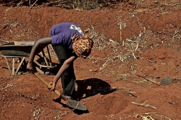 Climate-linked disasters are robbing us of the same allies that are supposed to help us in fighting climate change: the beneficial soil microbes and the complex network of microorganisms inhabiting the soil