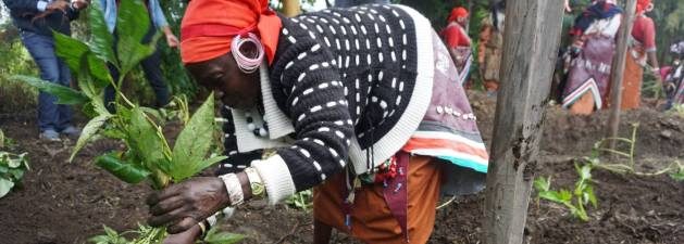 Green, healthy, and inclusive Food Systems should become the new normal. But to make this happen we need to reshape the entire food system, with citizens driving bottom-up innovations