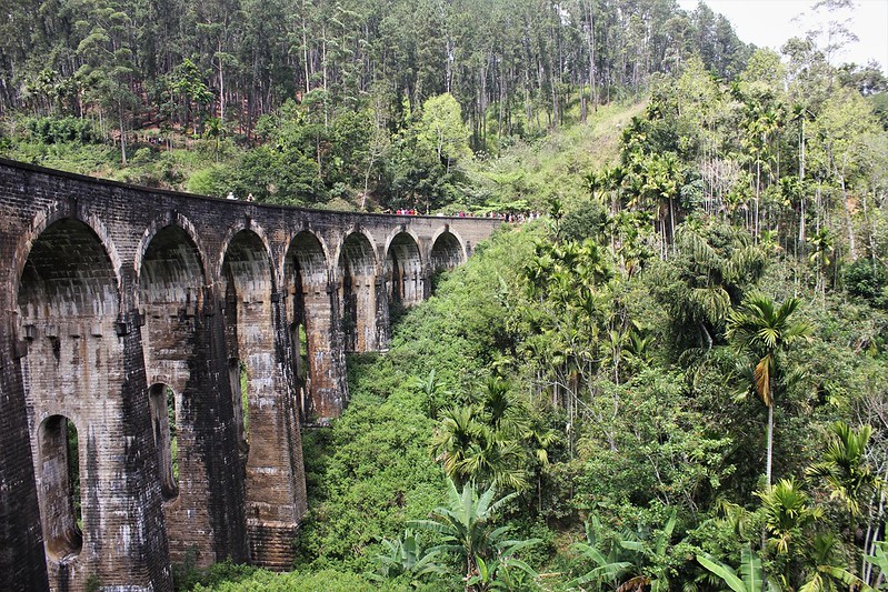 Can Conservation and Development Be Balanced in Sri Lanka? - Vimarsana News