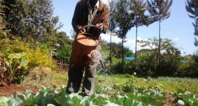 Can the World Tackle the Food Insecurity Crisis in 2021? - Vimarsana News