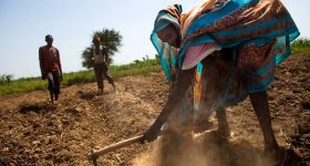 The Global Insecurity of Climate Change - Vimarsana News