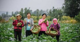 International Women's Day, 2021Women's Leadership in the Global Recovery from COVID-19 Pandemic - Vimarsana News