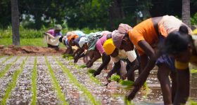 Barilla Foundation Brings Health and Climate Together in New Double Pyramid - Vimarsana News