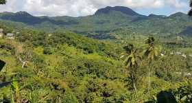 Tired with Tokenism, Youth Launch 'Stronger Campaign' for UN Biodiversity Day - Vimarsana News