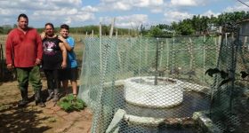 International Cooperation Gives Biogas a Boost in Rural Cuba - Vimarsana News