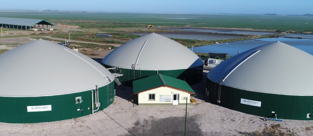 In Cristophersen, a town in northeastern Argentina, biodigesters were built by Adecoagro, an agroindustrial company that invested six million dollars to produce biogas from the manure of 12,000 cows. Adecoagro has been selling renewable energy to the national electricity grid for more than three years. CREDIT: Courtesy of Adecoagro