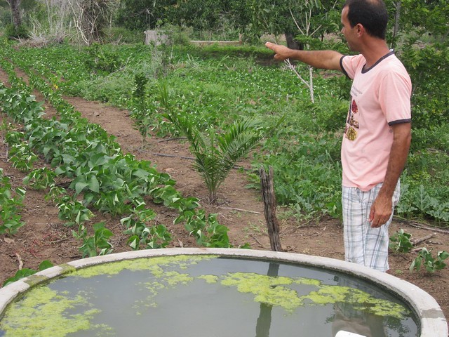 Abel Manto has managed to grow vegetables and fruit trees on his farm in the interior of the state of Bahia, in Brazil’s Northeast region, in an orchard in the semi-arid ecoregion, thanks to rainwater collected and stored in tanks. With no nearby streams, the farm’s year-round production depends on rainwater harvesting. CREDIT: Mario Osava/IPS