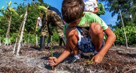 UN's Battle Against Climate Hazards Undermined by a Devastating Pandemic - Vimarsana News