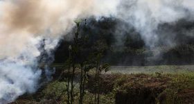 From Climate Change to Covid, Are We Ready to Deal with Disasters? - Vimarsana News