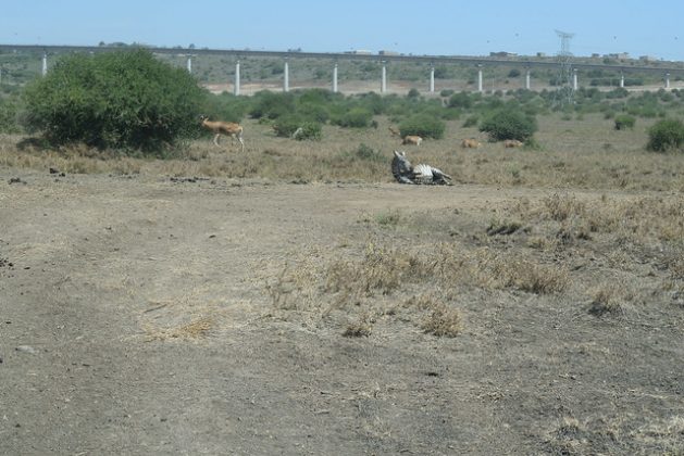 View of Standard Gauge Railway, at Mlolongo from Nairobi National Park, Kenya. Credit: Backrop Ke / Flickr