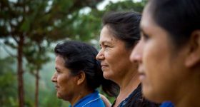 Indigenous Peoples Need Recognition, Reciprocity & a New Social Contract - Vimarsana News