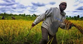 Transforming Global Food Systems Equitably & Sustainably Requires the Private Sector - Vimarsana News