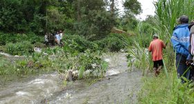 Finance Nature-based Solutions to Quiet Nature's Wrath - Experts - Vimarsana News