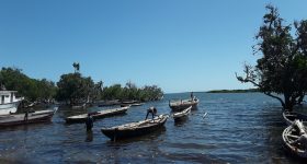 Blue Ocean Solutions for Climate Resilience and Accelerated Development - Vimarsana News