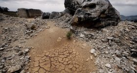 Heatwave and Drought Hit South America's Crops and Economy - Vimarsana News