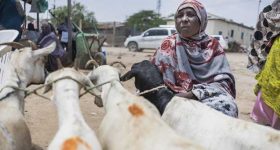 Somalia on the Path to Recovery, but Real Challenges Remain - Vimarsana News