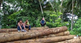 Fighting Corruption Essential to Reducing Inequality in Pacific Islands - Vimarsana News