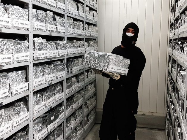 A technician dressed to withstand the freezing temperatures holds a tray of seeds in the Seeds of the Future gene bank. The last phase of the process consists of storing the bags of classified seeds in a room with a temperature of -18 degrees Celsius, awaiting shipment to those interested in using them, from the headquarters of the International Center for Tropical Agriculture (CIAT) in Palmira, in southwestern Colombia. CREDIT: Emilio Godoy/IPS