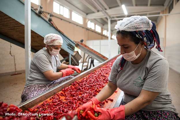 Which country do you think best recognises the potential for changes to Food Systems to reduce emissions?