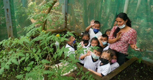 Preschool students stand in a section of the garden at the El Zaite Children's Center, where teacher Sandra Peña teaches them the importance of healthy eating and the advantages of having a vegetable garden, in El Zaite, a poor neighborhood near Zaragoza, in the southern Salvadoran department of La Libertad. CREDIT: Edgardo Ayala/IPS