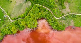 Addressing the Global Biodiversity Crisis Requires Understanding and Prioritizing the Many Values of Nature - Vimarsana News