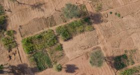 Restore Land to Tackle Multiple Crises - Vimarsana News