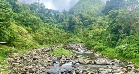 IPBES Shoring up Private Sector Support for Biodiversity Science - Vimarsana News