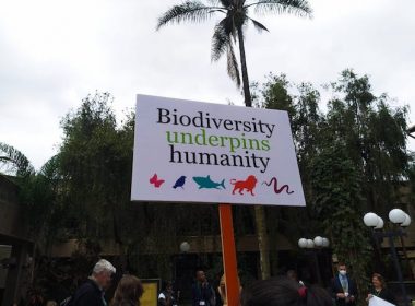 Global Biodiversity Agenda: Nairobi Just Added More to Montreal’s Plate