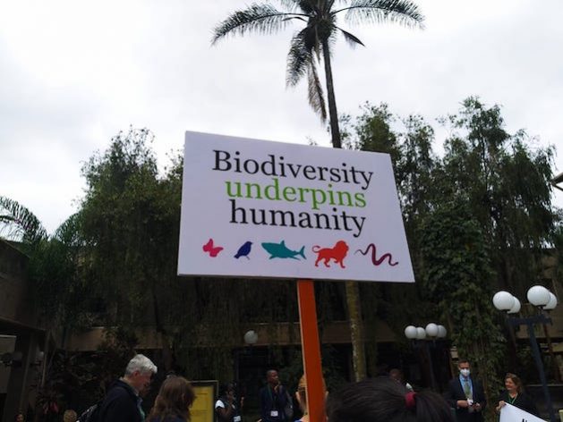 A placard on display at activists' demonstration outside the 4th meeting of the CBD Working Group at the UNEP headquarter in Nairobi. Credit: Stella Paul/IPS