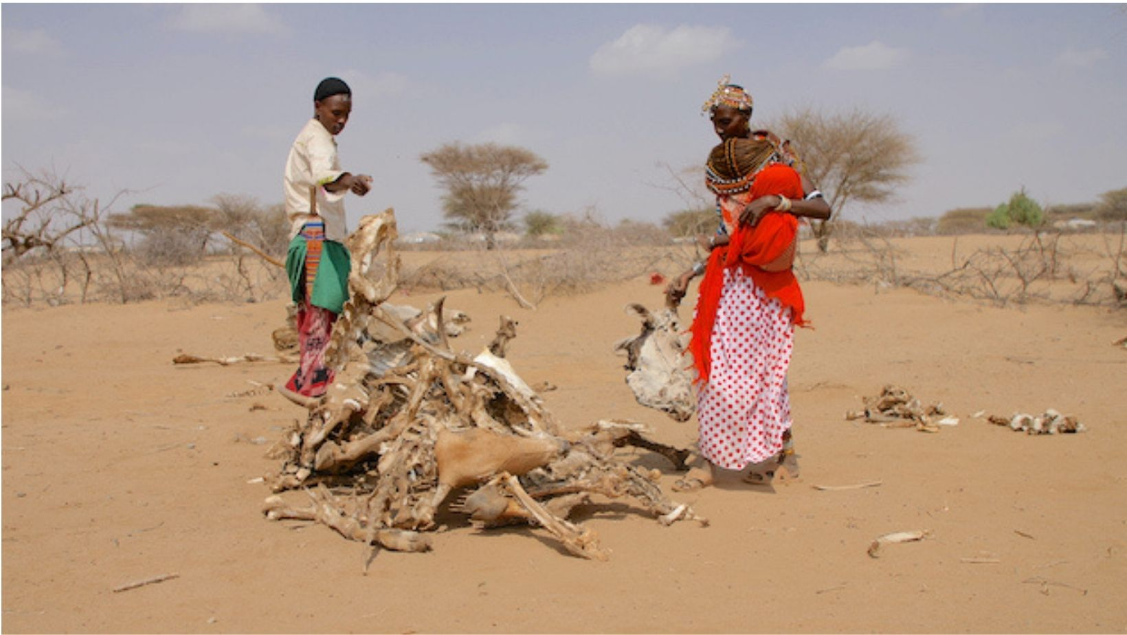 Surviving Climate Change, Conflict, Hunger and Poverty Emergencies - Vimarsana News