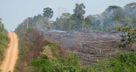 World Environment Day - The Richest 1% Pollutes More than the Poorest 50% - Vimarsana News
