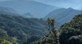 World Environment Day (II): Five More Planets Earth Urgently Needed - Vimarsana News